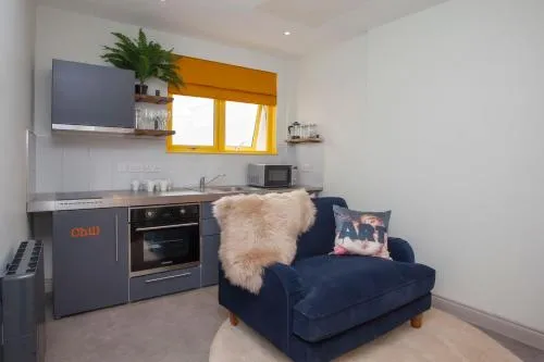 Stylish Snug Aparthotel by Principality Stadium photo 1