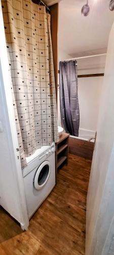 eine Waschmaschine in einem Badezimmer mit Dusche in der Unterkunft Joli studio 5p avec balcon in Enchastrayes