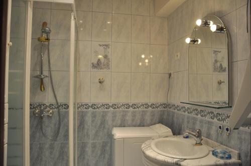 une salle de bain avec une douche, des toilettes et un lavabo dans l'établissement Côté Barbacane - Parking privé - 100m Cité Médiévale, à Carcassonne