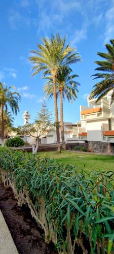 Tenerife South Apartment