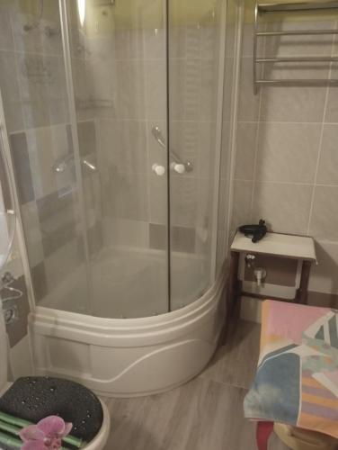 a shower with a glass door in a bathroom at City Center Rooms in Budapest