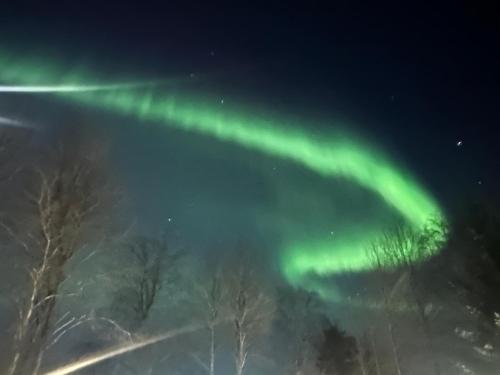 an image of the northern lights in the sky at Aava Riverside in Rovaniemi