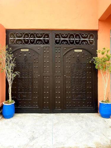 a pair of black doors with two potted plants at Dar Noureddine in Lalla Takerkoust