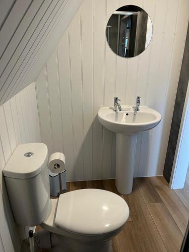 a white bathroom with a toilet and a sink at Tiny home on an organic croft, Isle of Arran in Kildonan