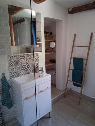 une salle de bain avec un lavabo et une douche en verre dans l'établissement Les LOGIS DE LA CHAPELLE classés 3 étoiles, à Roquebillière