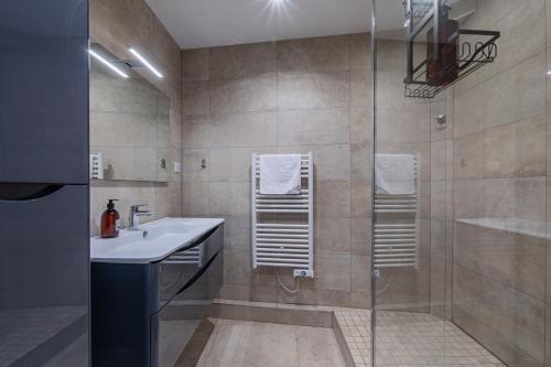 une salle de bain avec une douche et un lavabo et une douche dans l'établissement Panorama Cathédrale - Appt lumineux avec parking privé, à Strasbourg