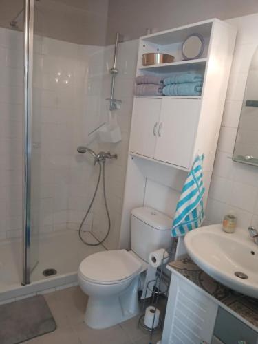 a bathroom with a shower and a toilet and a sink at bord de rivière in Accons