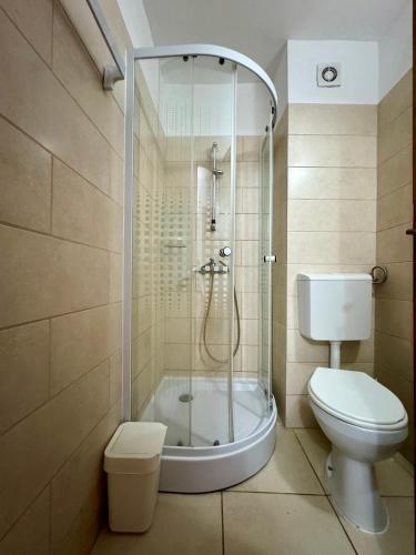 a bathroom with a shower and a toilet at Mellys Haus in Mangalia