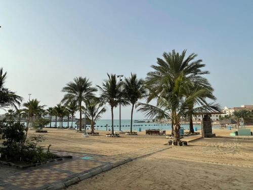 a sandy beach with palm trees and the ocean at شاليه الحمرا 2-12بدرة العروس in Jeddah