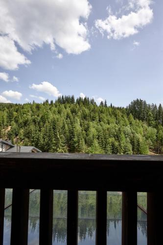 a view from the balcony of a house with a mountain at Goral Hotel & Spa in Bukovel