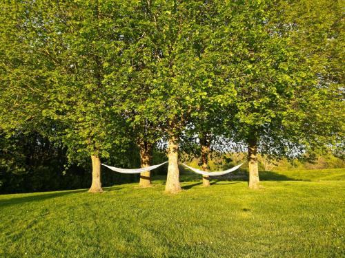 a hammock between two trees in a field at Bymose Hegn Hotel & Kursuscenter in Helsinge