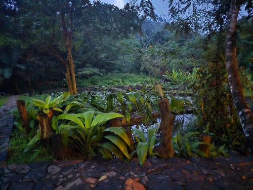 Fotografie z fotogalerie ubytování Explore Sinharaja Rain Forest Tour Camp v destinaci Dombagoda