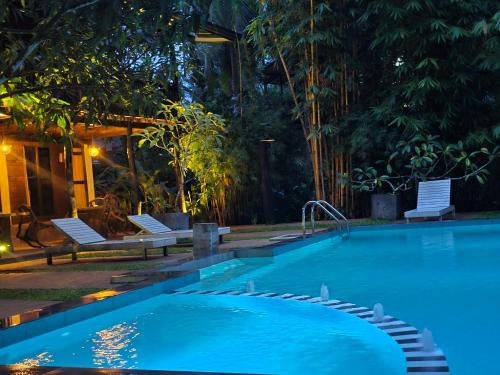 Fotografie z fotogalerie ubytování Explore Sinharaja Rain Forest Tour Camp v destinaci Dombagoda
