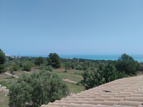 a view from the roof of a building with trees at La casa del mar Nuimna in Peniscola