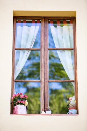 a window with two pots of flowers and curtains at Fattoria il Casone in Monteriggioni