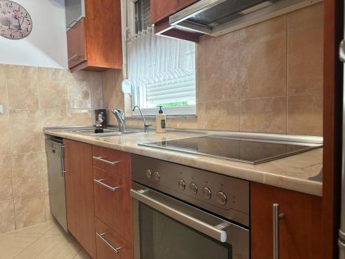 a kitchen with a sink and a stove at Apartments Naresi Mostar in Mostar