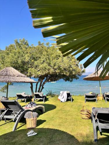 a group of chairs and umbrellas on the beach at Şato Design Hotel in Cesme