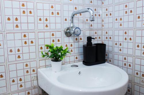 a bathroom with a sink with a plant on it at Summer Residence Kos in Kos Town