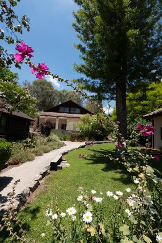 un jardin avec des fleurs et un arbre ainsi qu'un bâtiment dans l'établissement Numa Emek-Countryside Guesthouse in Yokneam Moshava, à Yoqne‘am