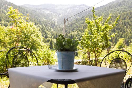 a table with a potted plant sitting on top of it at Yliessa Chalet in Domnista