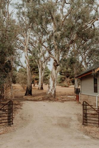 a group of trees next to a building with a fence at The Barn - On Cockatoo Lane in Sandy Creek