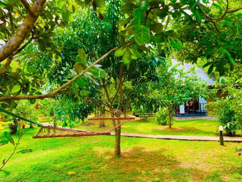 Zahrada ubytování Sungreen Cottage Sigiriya