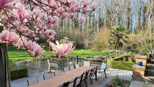 a wooden table and chairs under a tree with pink flowers at Le Château des Comtesses - Vue lac, 13 pers in Montignies-sur-Roc