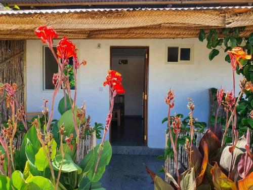 Φωτογραφία από το άλμπουμ του Surina Villa Paje σε Jambiani