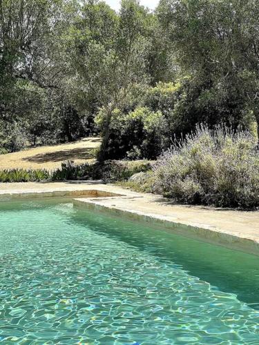 Landskap semula jadi dekat dengan the country house