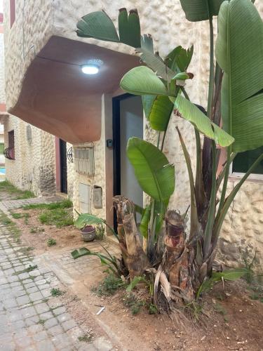 Imagen de la galería de Beautiful apartment in front of the sea, en Sidi Bouzid