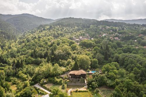 an aerial view of a village in the mountains at Yliessa Chalet in Domnista