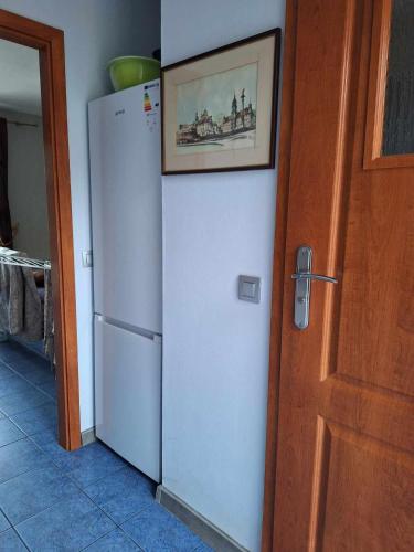 a refrigerator in a kitchen with a picture on the wall at Apartamenty Dom nad Jeziorem in Głęboczek
