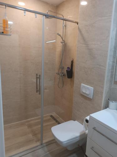 a bathroom with a shower with a toilet and a sink at Your Home Montenegro in Dobra Voda