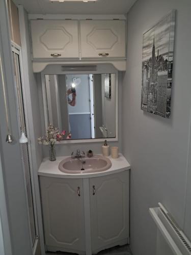 une salle de bain avec un lavabo et un miroir dans l'établissement Golden Anchor 8b9 Caravan Park Holiday Home, à Chapel St. Leonards