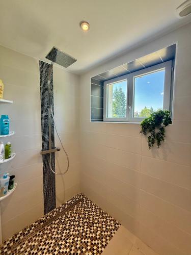 La salle de bains est pourvue d'une douche et d'un tapis. dans l'établissement Maison spacieuse avec terrasse - DABNB, à Saint-Brice-sur-Vienne