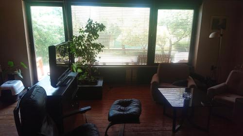 a living room with a large window and a plant at Bernard bnb in Veliko Mlačevo