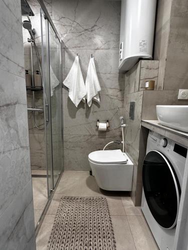 y baño con aseo, lavabo y lavadora. en Sun, beach and relaxation, en Cagnes-sur-Mer