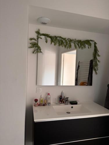 Appartement Cap d'Agde