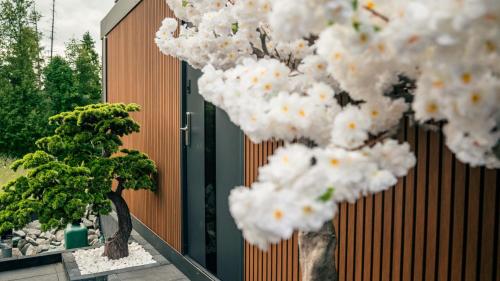 a tree with white flowers in front of a fence at Góralski Harem Osada Glamp & Glass z Jacuzzi i Balią in Zakopane