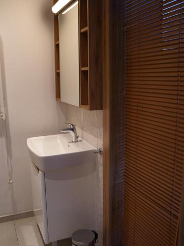 a bathroom with a sink and a mirror at Warsoliv double in Warsaw