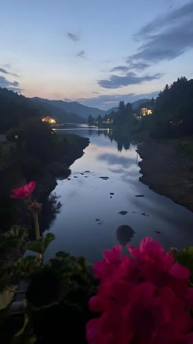 a view of a river at night with pink flowers at La rosa sul lago in Osiglia