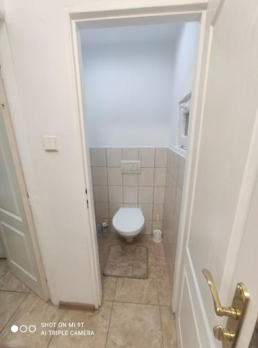 a bathroom with a white toilet in a room at Bílý Potok 198 in Weissbach