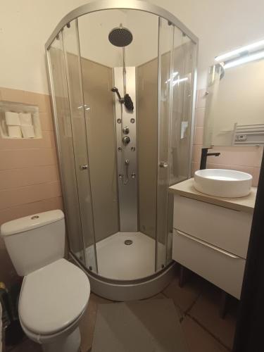 a bathroom with a shower and a toilet and a sink at Villette à Mollans chez Aude & Yo in Mollans-sur-Ouvèze
