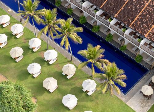 an overhead view of a lawn with white umbrellas and palm trees at EKHO Surf Bentota in Bentota