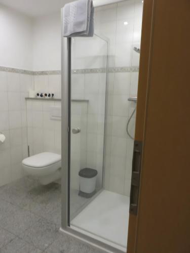 a bathroom with a toilet and a glass shower at Ferienwohnung Atelier in Bad Bellingen