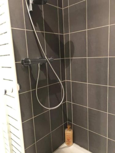 La salle de bains carrelée est pourvue d'une douche avec un tuyau. dans l'établissement Studio lumineux au 1er étage, au Puy-en-Velay