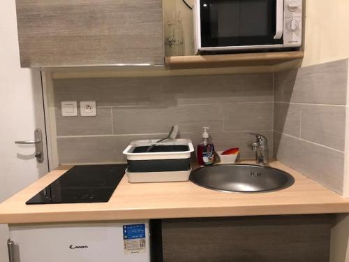un comptoir de cuisine avec un évier et un micro-ondes dans l'établissement Studio lumineux au 1er étage, au Puy-en-Velay