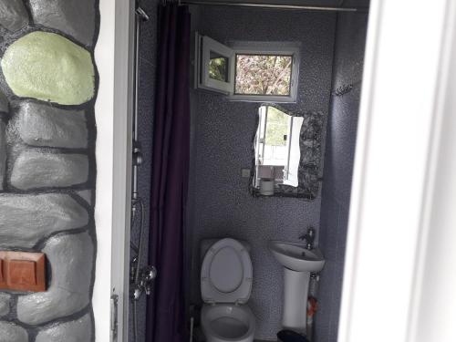 a small bathroom with a toilet and a window at Guesthouse Gurami in Borjomi