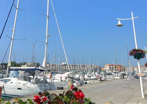 a bunch of boats parked in a marina at Hôtel Le Carnon in Carnon-Plage