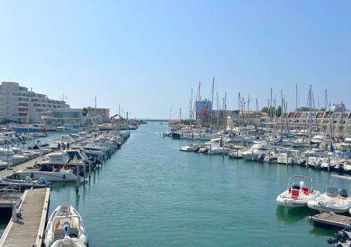 a group of boats docked in a harbor at Hôtel Le Carnon in Carnon-Plage